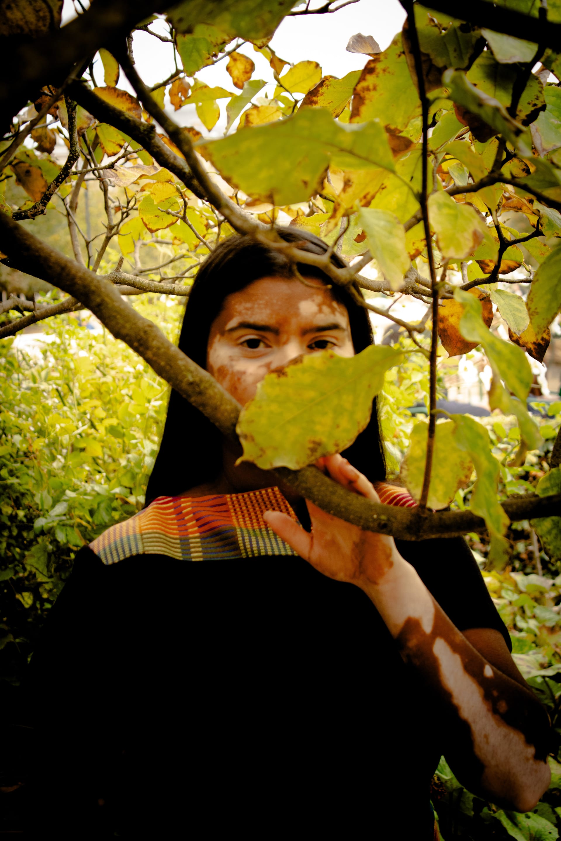 Nature Humanité Storytelling